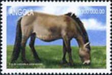 Przewalski's Horse (Equus caballus przewalski)