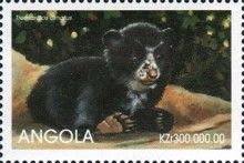 Spectacled Bear (Tremarctos ornatus)