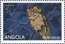 Seychelles Scops-Owl (Otus insularis)