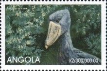 Shoebill (Balaeniceps rex)