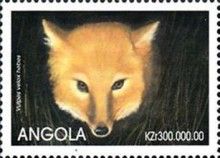 Swift Fox (Vulpes velox hebes)