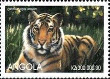 Siberian Tiger (Panthera tigris altaica)