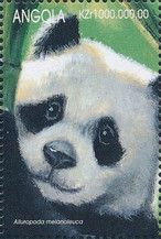 Giant Panda (Ailuropada melanoleuca)