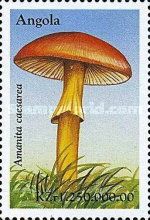 Amanita caesarea