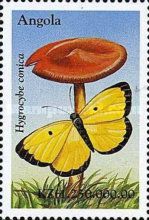 Hygrocybe conica