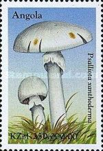 Psalliota xanthoderma