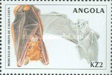 Angolan Fruit Bat (Lissonycteris angolensis)