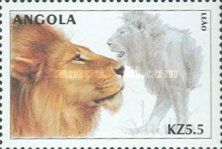African Lion (Panthera leo)