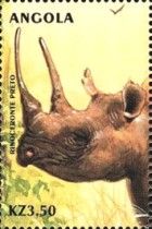 Black Rhinoceros (Diceros bicornis)