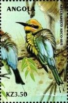 Rainbow Bee-eater (Merops ornatus)
