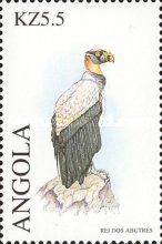King Vulture (Sarcorhamphus papa)