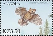 Eastern Screech Owl (Otus asio)