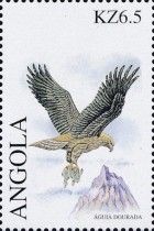 Golden Eagle (Aquila chrysaetos)