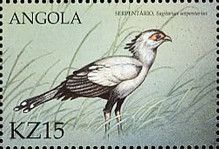 Secretarybird (Sagittarius serpentarius)