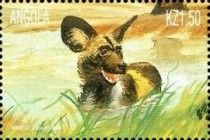 African Wild Dog (Lycaon pictus)