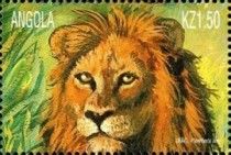 Lion (Panthera leo)