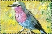 Lilac-breated roller (Coracias caudata)