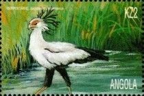 Secretarybird (Sagittarius serpentarius)