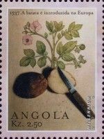 1537 The Potato is introduced in Europe