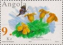 Yellow Flower (Allamanda cathartica)