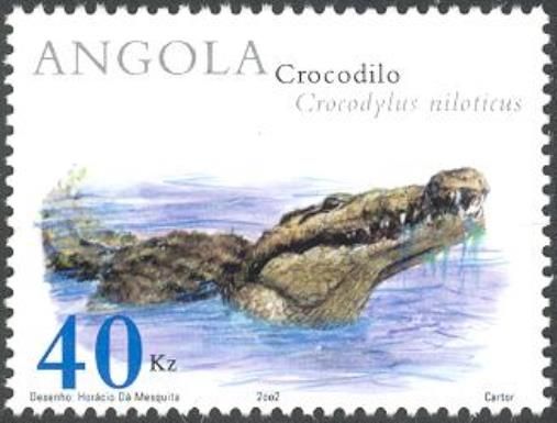 Nile Crocodile (Crocodylus niloticus) 