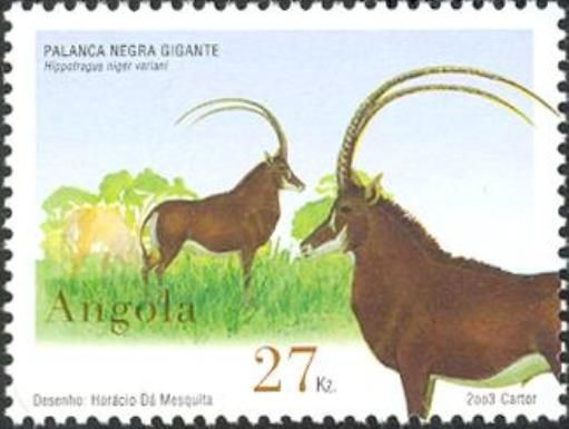 Giant Sable Antelope (Hippotragus niger variani)