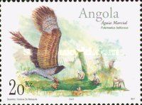 Martial Eagle (Polemaetus bellicosus)
