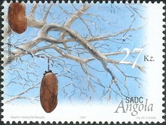 Adansonia Digitata