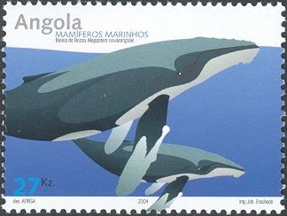 Humpback Whale (Megaptera novaeangliae)