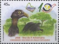 Vulturine Guineafowl (Acryllium vulturinum)