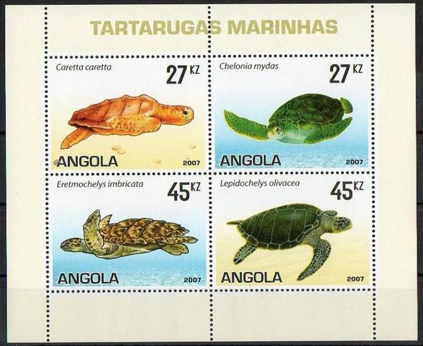 Sea Turtles