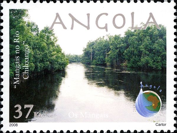Mangroves at the banks of Rio Chiloango