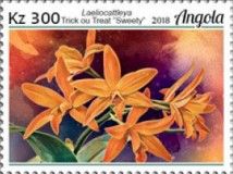 Laeliocattleya Trick or Treat "Sweety"
