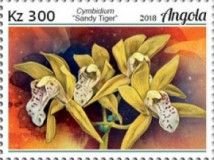 Cymbidium "Sandy Tiger"