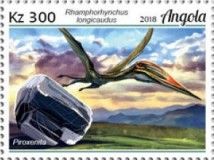 Rhamphorhynchus longicaudus and Pyroxene