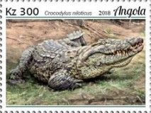 Crocodylus niloticus
