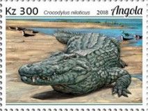 Crocodylus niloticus