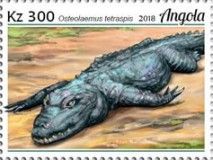 Osteolaemus tetraspis