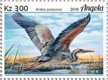 Purple Heron (Ardea purpurea)