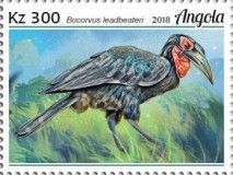 Southern Ground-Hornbill (Bucorvus leadbeateri)