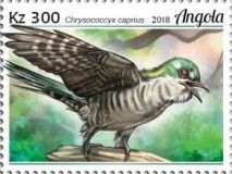 Dideric Cuckoo (Chrysococcyx caprius)