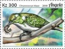 Klaas's Cuckoo (Chrysococcyx klaas)