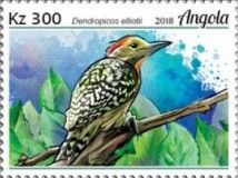Elliot's Woodpecker (Dendropicos elliotii)