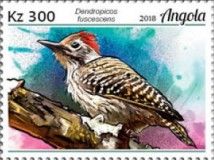 Cardinal Woodpecker (Dendropicos fuscescens)