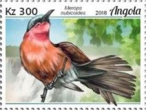 Southern Carmine Bee-eater (Merops nubicoides)