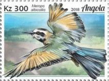 White-throated Bee-eater (Merops albicollis)