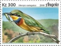 Blue-breasted Bee-eater (Merops variegatus)
