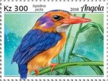 African Pygmy Kingfisher (Ispidina picta)