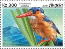 Malachite Kingfisher (Corythornis cristatus)