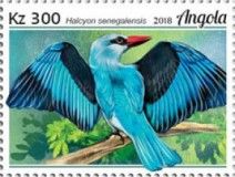 Woodland Kingfisher (Halcyon senegalensis)